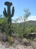 photo thumbnail #8