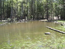 photo thumbnail #7