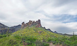 photo thumbnail #3