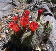 photo thumbnail #8