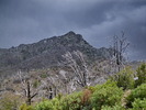 photo thumbnail #14