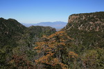 photo thumbnail #6