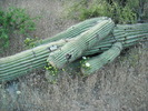 photo thumbnail #5