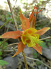 photo thumbnail #10