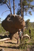 photo thumbnail #2