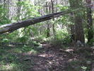 photo thumbnail #1
