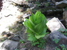 photo thumbnail #7