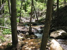 photo thumbnail #8