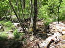 photo thumbnail #9