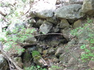 photo thumbnail #12