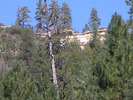 photo thumbnail #14