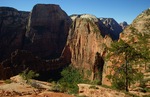 photo thumbnail #8