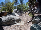 photo thumbnail #1