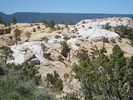 photo thumbnail #8