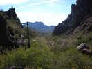photo thumbnail #4