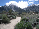 photo thumbnail #1
