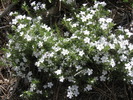 photo thumbnail #12