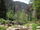photo thumbnail #15