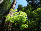 photo thumbnail #6