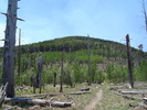 photo thumbnail #14