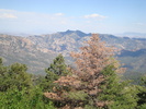 photo thumbnail #14
