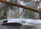 photo thumbnail #2