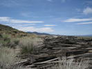 photo thumbnail #2