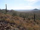 photo thumbnail #4