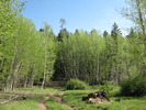 photo thumbnail #8