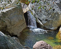 photo thumbnail #12