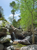 photo thumbnail #15