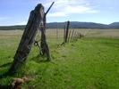 photo thumbnail #11