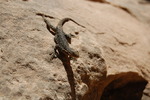 photo thumbnail #14
