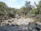 photo thumbnail #13