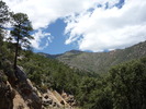 photo thumbnail #10