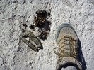 photo thumbnail #14