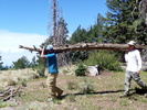 photo thumbnail #8
