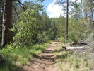 photo thumbnail #1