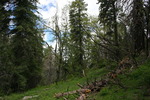 photo thumbnail #2