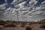 photo thumbnail #5
