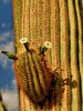 photo thumbnail #15