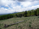 photo thumbnail #5