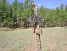 photo thumbnail #15
