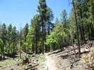 photo thumbnail #2