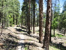 photo thumbnail #3