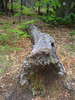 photo thumbnail #1