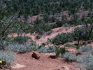 photo thumbnail #7