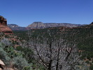 photo thumbnail #8
