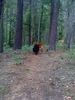 photo thumbnail #1