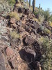 photo thumbnail #8